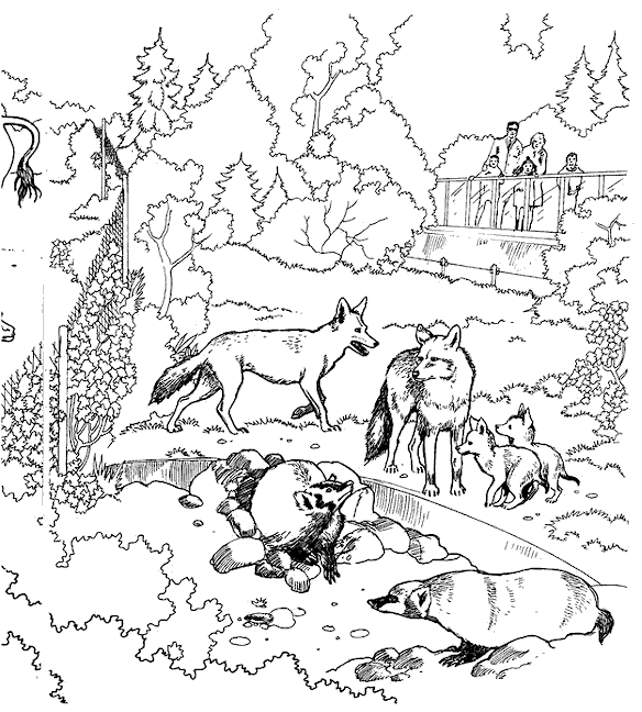 Plansa de colorat cu Gradina zoologica 7 19